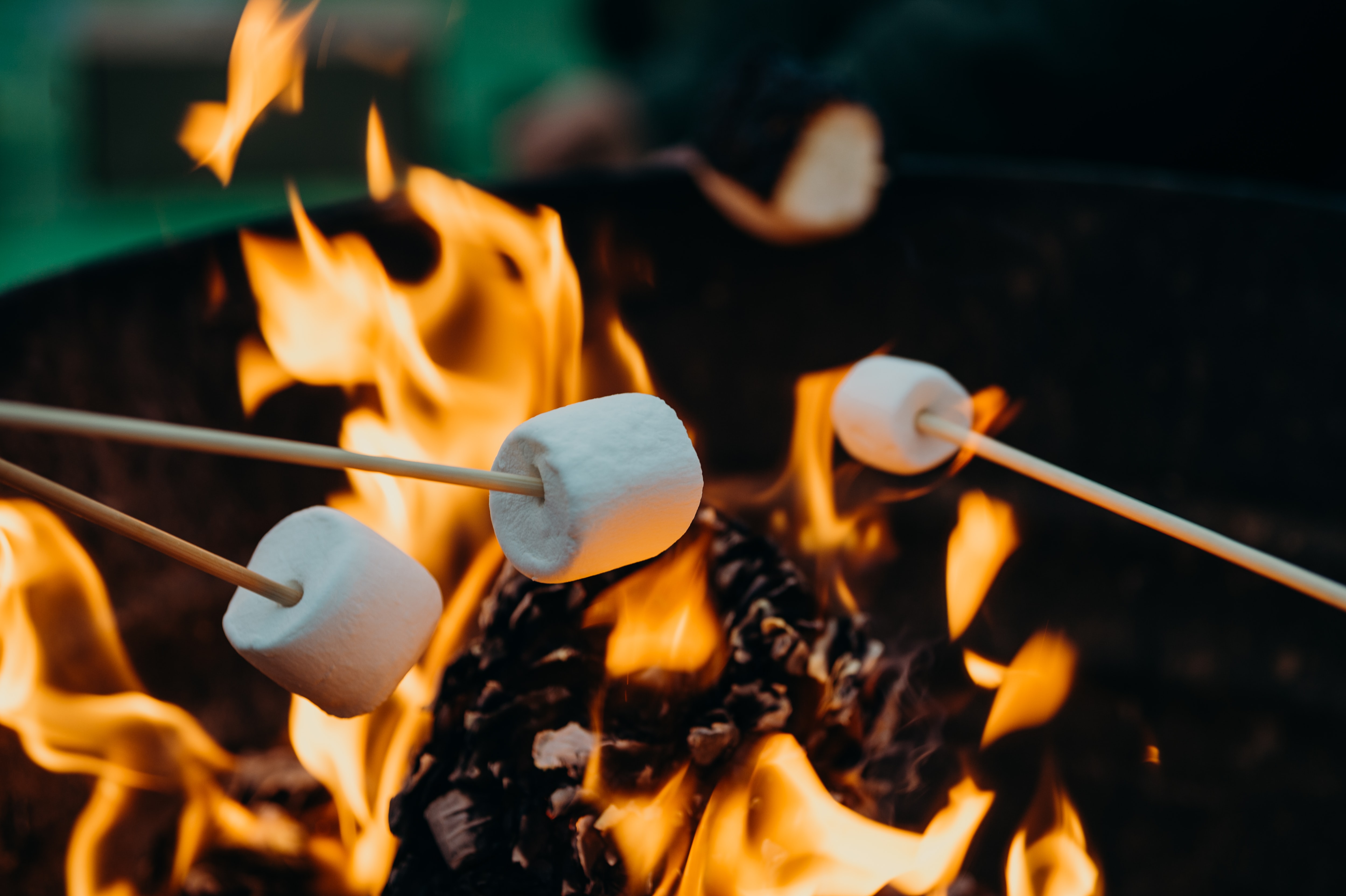 an image of toasting marshmallows to represent bulk herbs and spices on bonfire night.