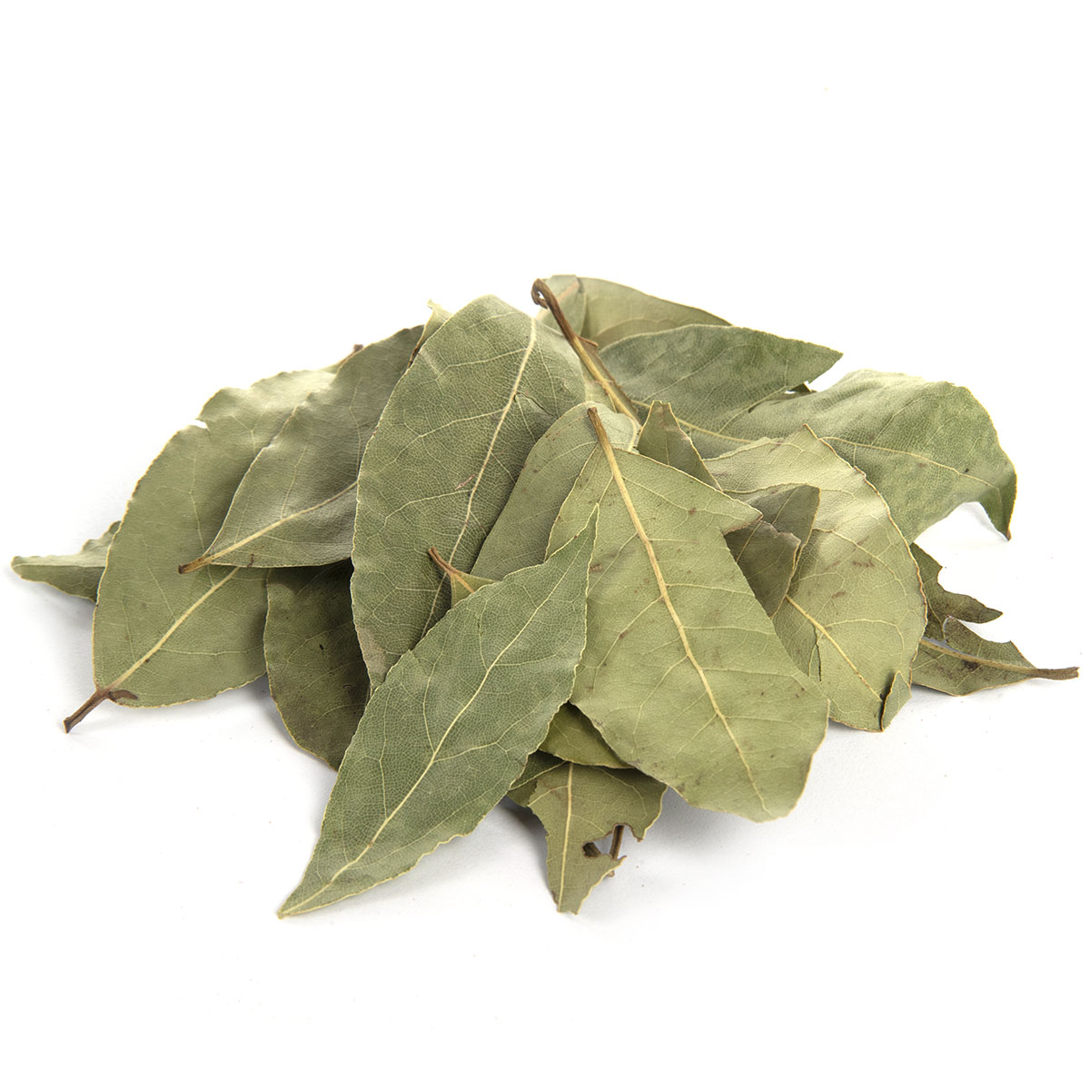 bay leaves to represent how world of spice bespoke herb and spice suppliers can help business save money.