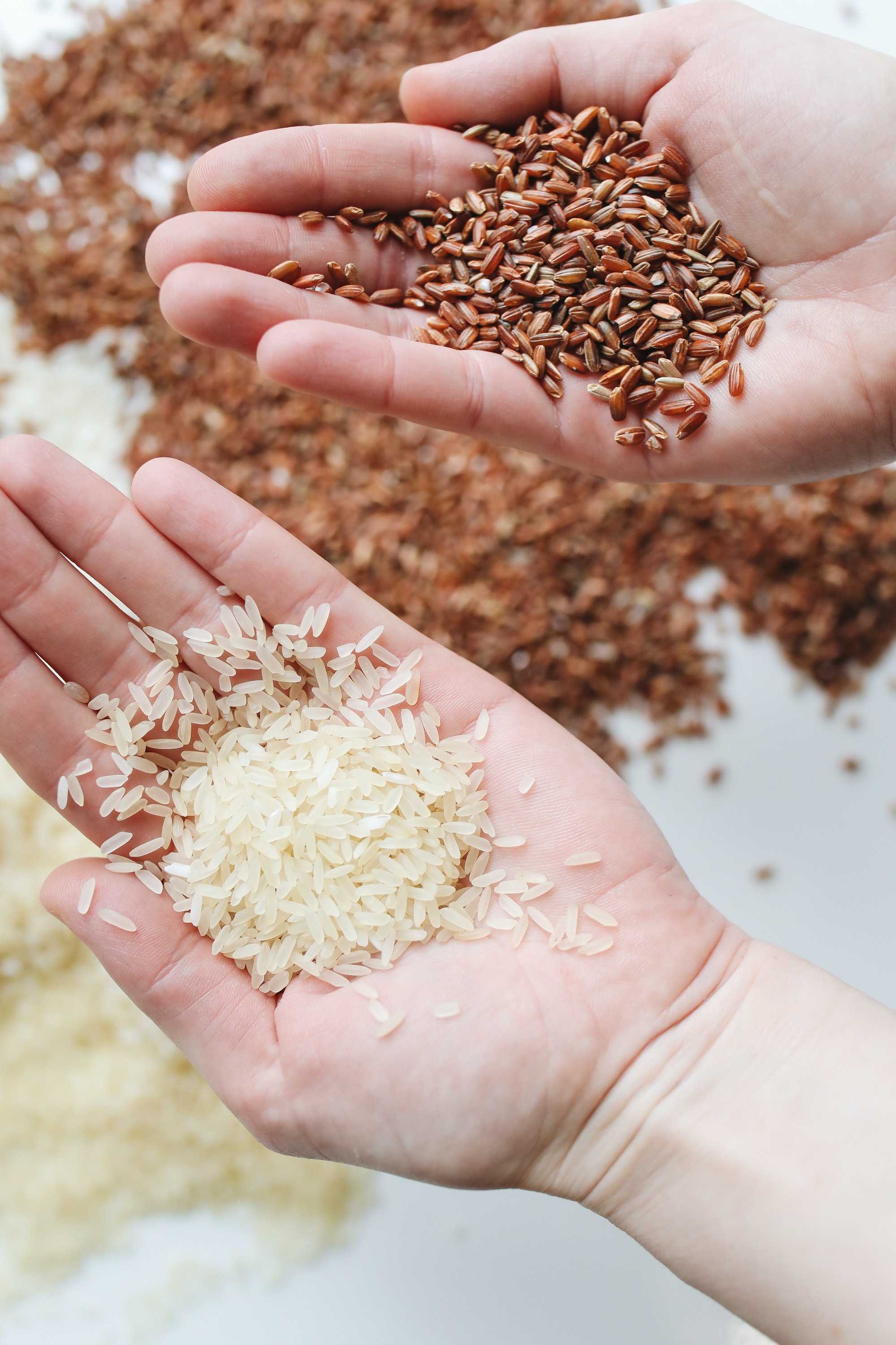 Essex spice shop exploring different types of grains,