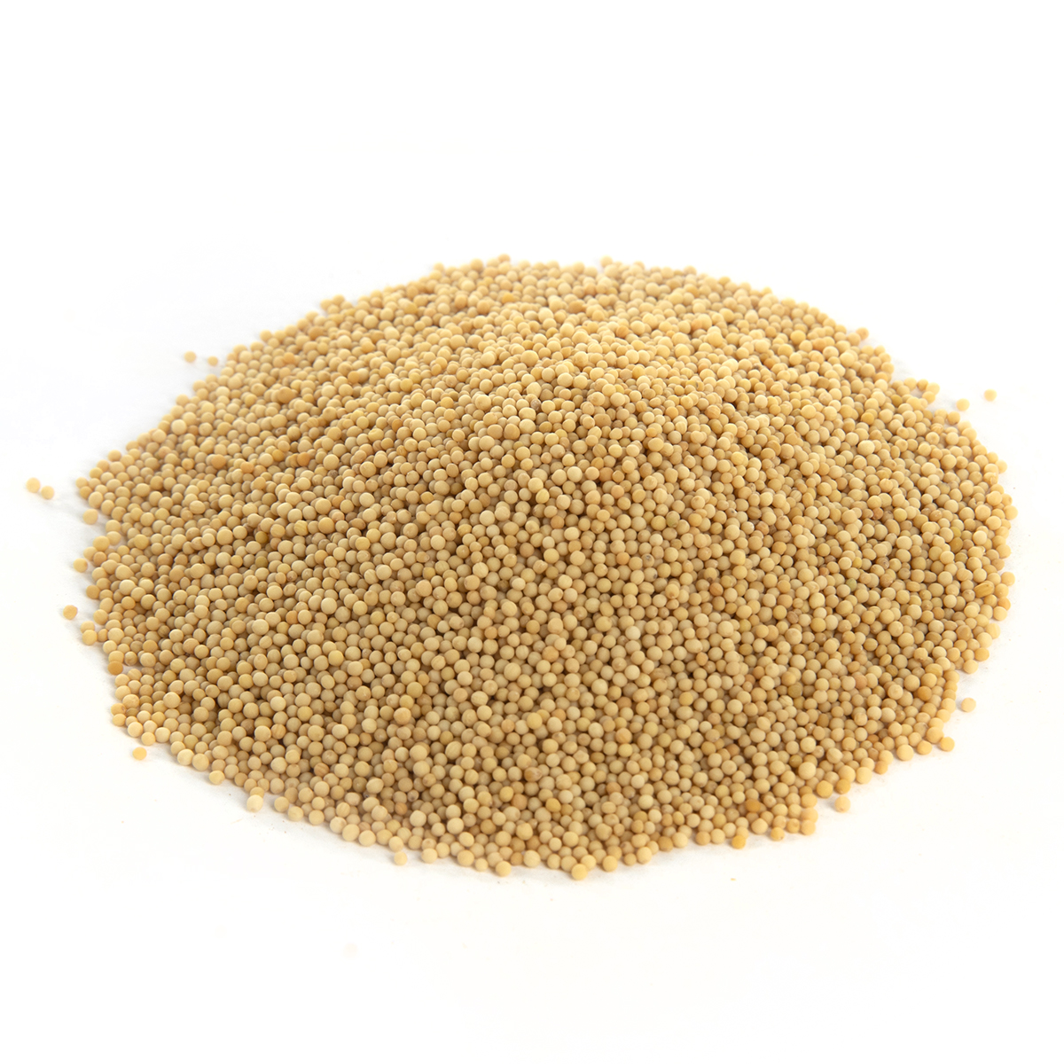 Amazon.com : Yellow Mustard Seeds Whole - White Mustard Seed