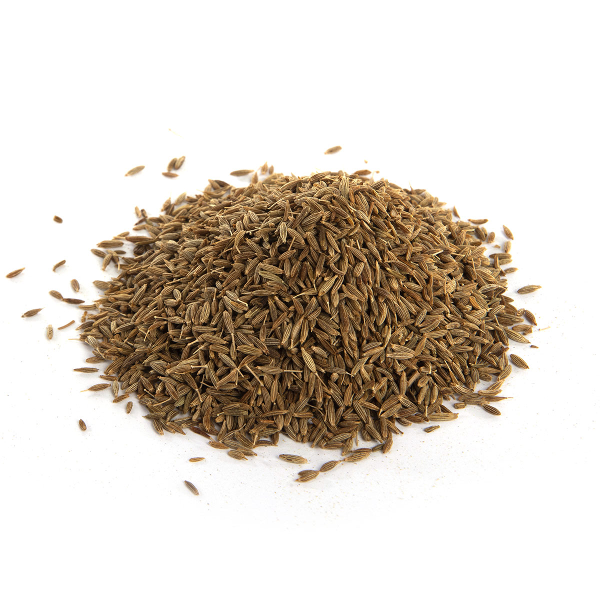 1175 Cumin Whole Herbs Spices and Seasonings High Quality World